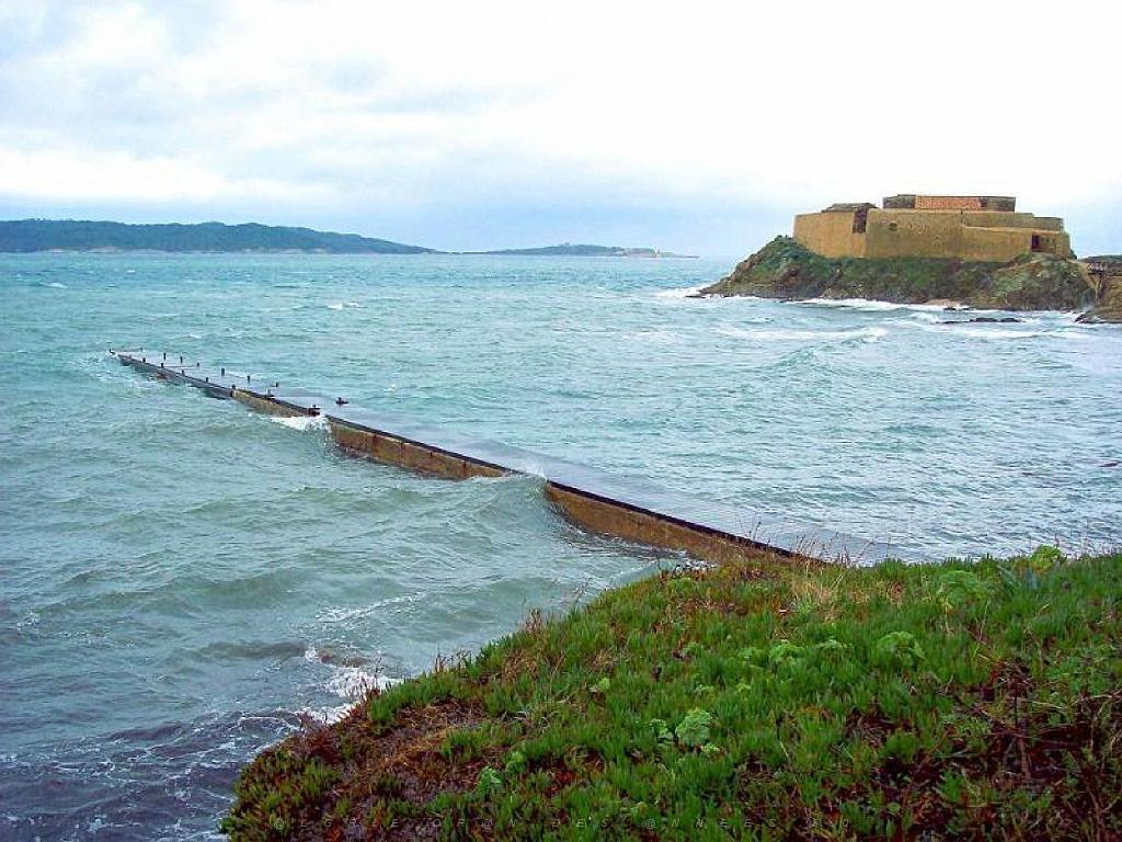 183 D18 PRESQU ILE DE GIENS 1_000016.jpg